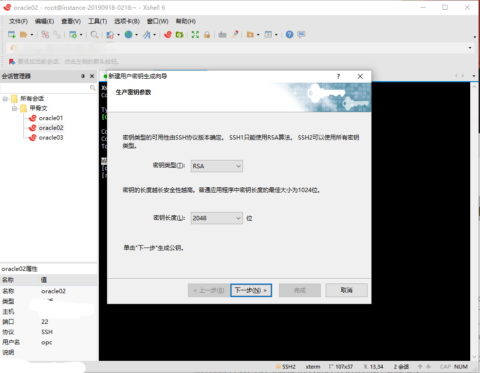 《Oracle Cloud甲骨文云服务器忘记SSH秘钥或未设置Public key的解决办法》