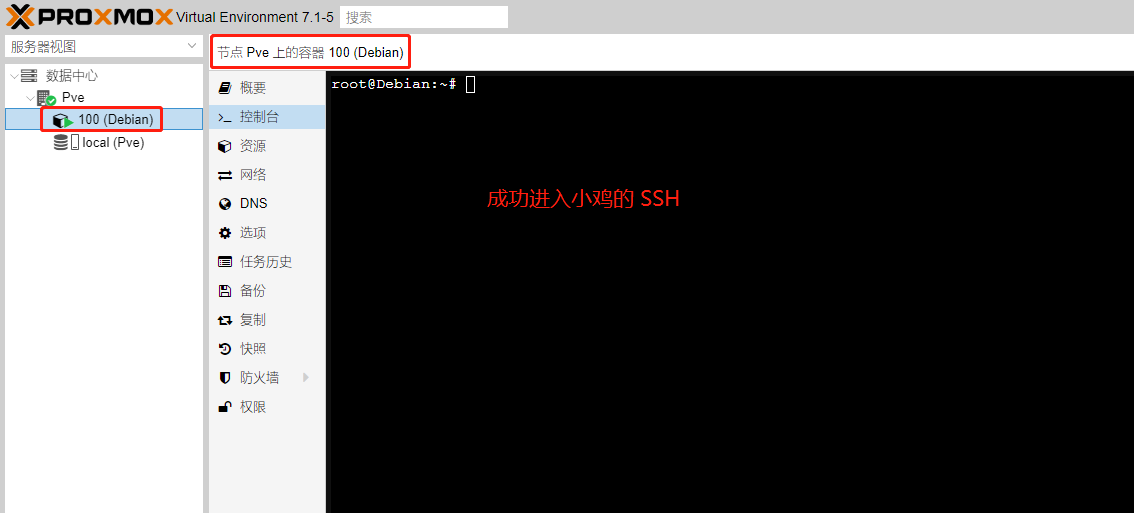 成功进入小鸡控制台