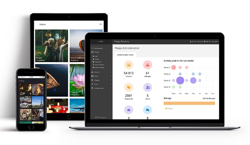 image-20220528224821944